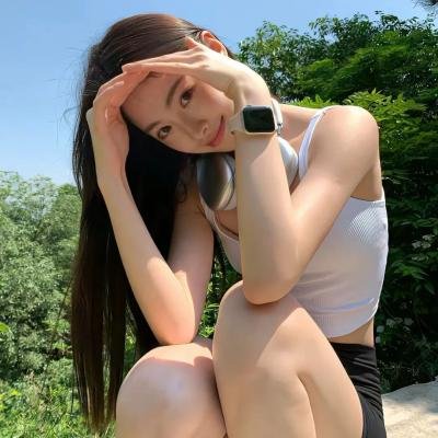 完美伴侣